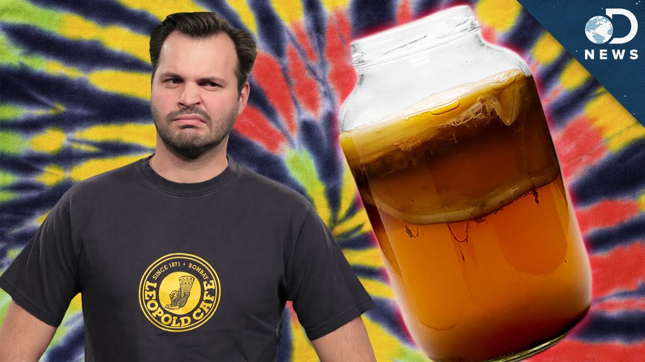 WTF Is Kombucha?