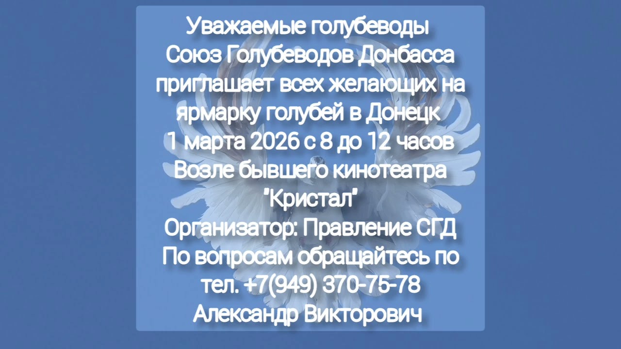 Объявление ярмарки голубей в Донецке