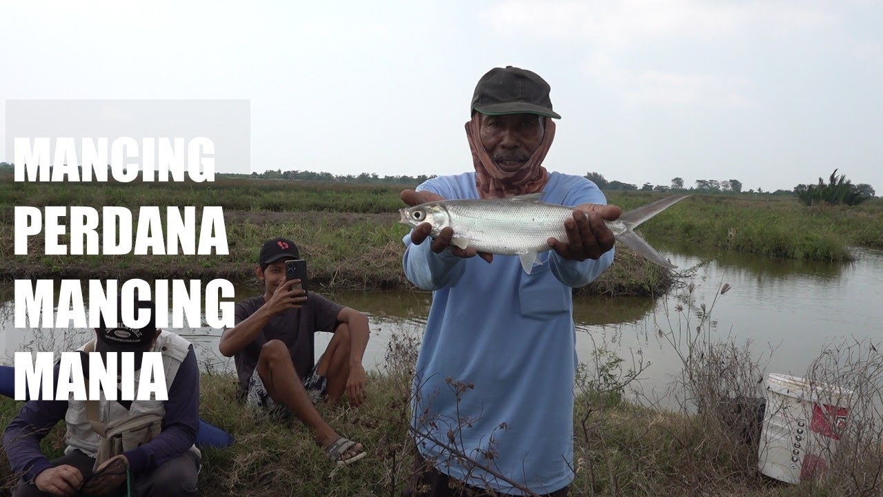 Persiapan Mancing Perdana Tambak Bandeng