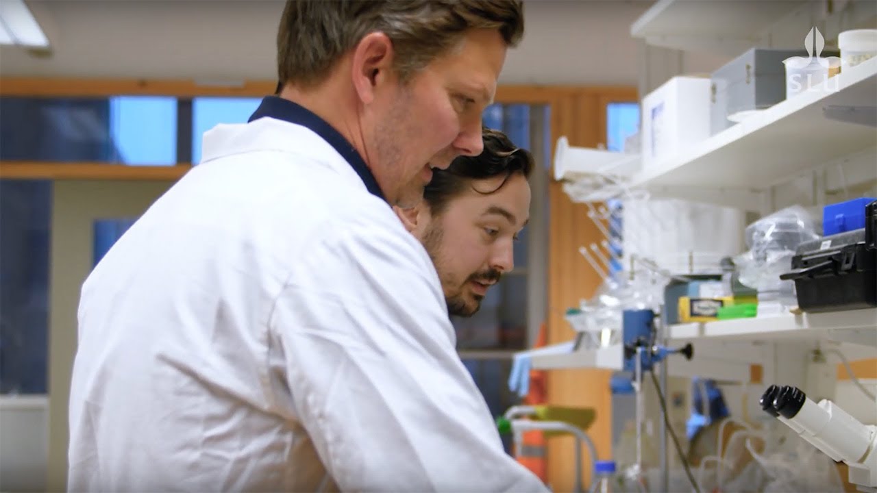 Johan Dicksved – professor i näringsfysiologi och metabolism hos enkelmagade djur vid SLU