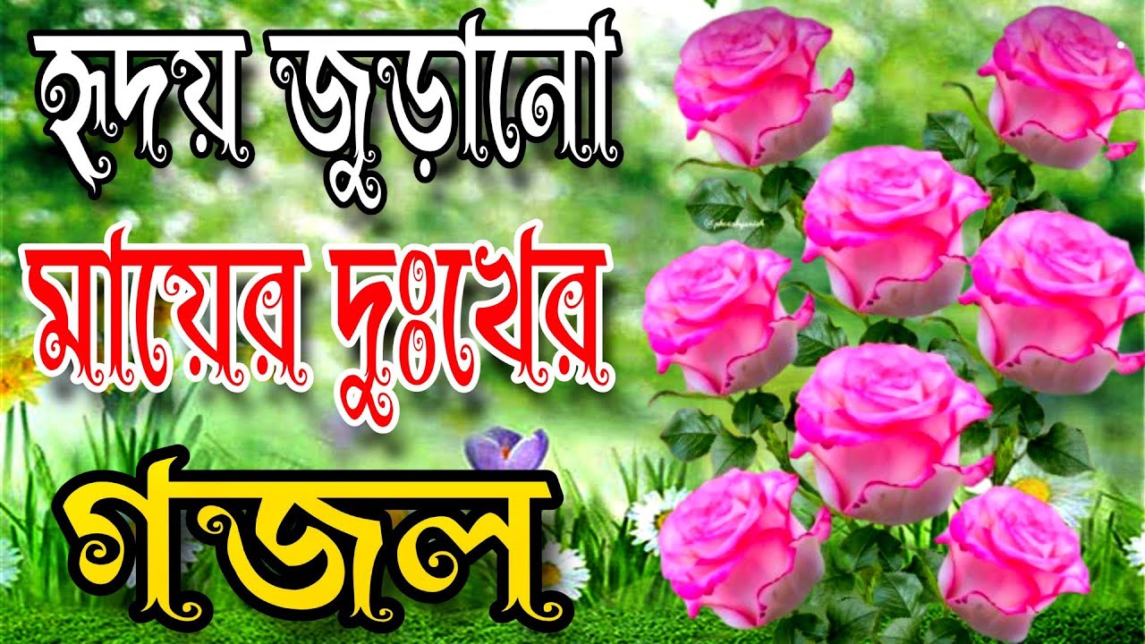 মায়ের দুঃখের গজল, শেষ বিদায়ের খুবই দুঃখের গজল, mayur dukkar gojol, mon ujadkrar mayur gojol 