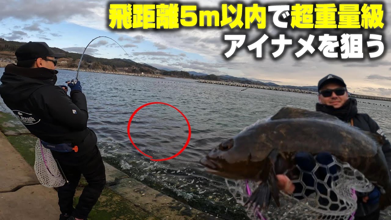 大型アイナメは思ったよりも近くにいる！手前を攻めることの重要性がよく分かる釣行！ベイトブレス鈴木隆ノ介さん岩手釣行