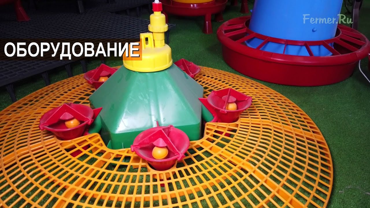 Оборудование для птицеводства. Гнёзда, поилки, кормушки