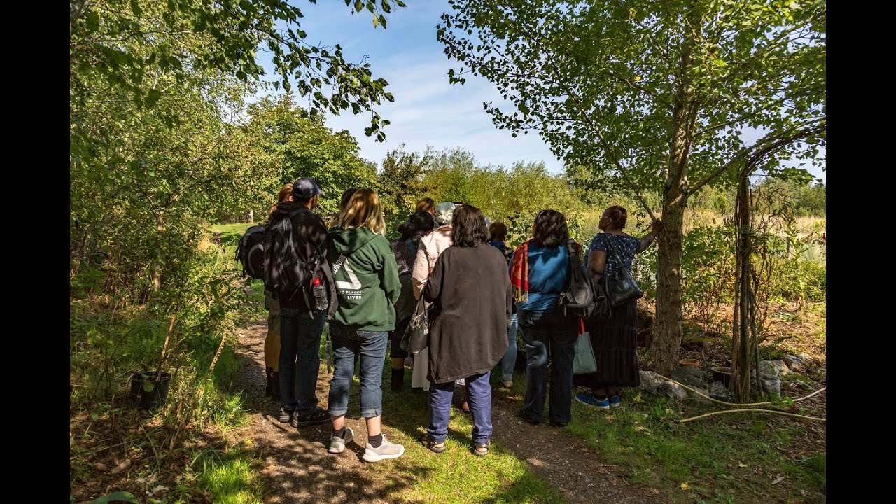 Introduction to Citizen Science and environmental surveying