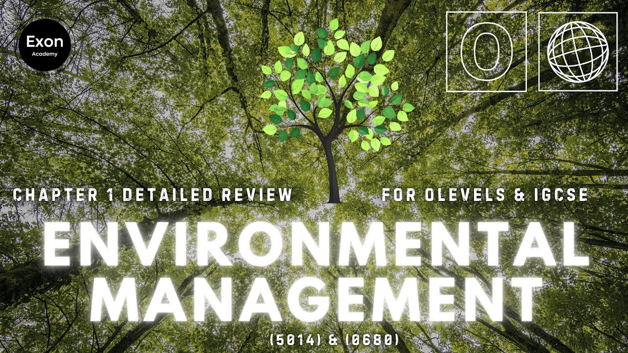 Chapter 1: Rocks & Minerals | IGCSE/O Levels Environmental Management (0680/5014) | Exon Academy