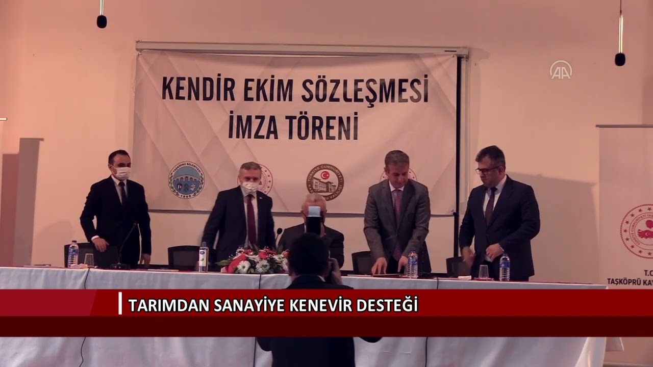 Tarımdan sanayiye kenevir desteği