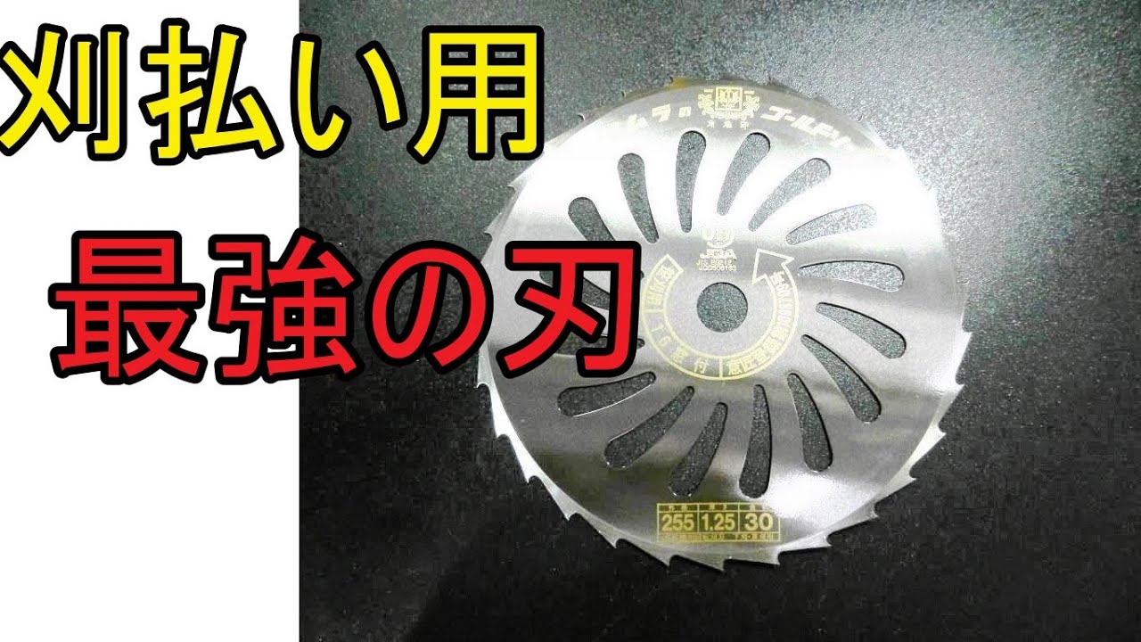 刈刃最強の刃物　笹刈刃　紹介してみた　何でも切れるという意味でね　（草刈り機　刈払い機　スチール　共立　ゼノア　新ダイワ　イリノ　カーツ　ナイロンコード　）