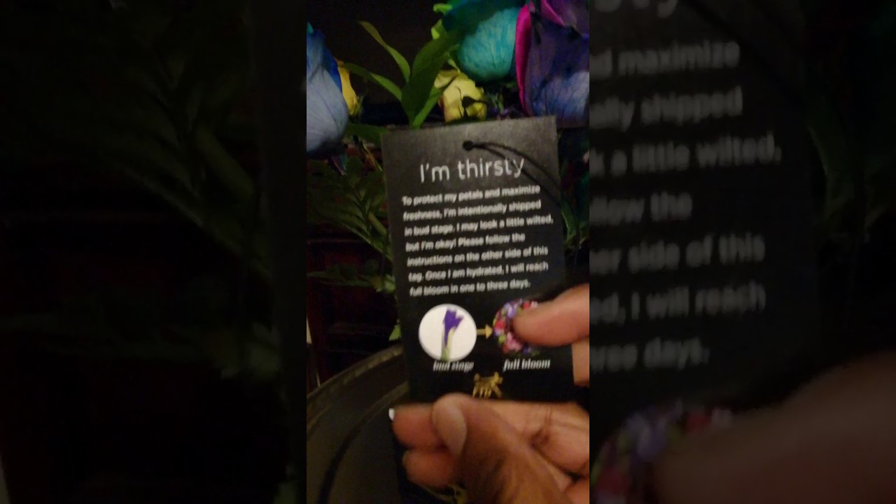 FTD Floral review