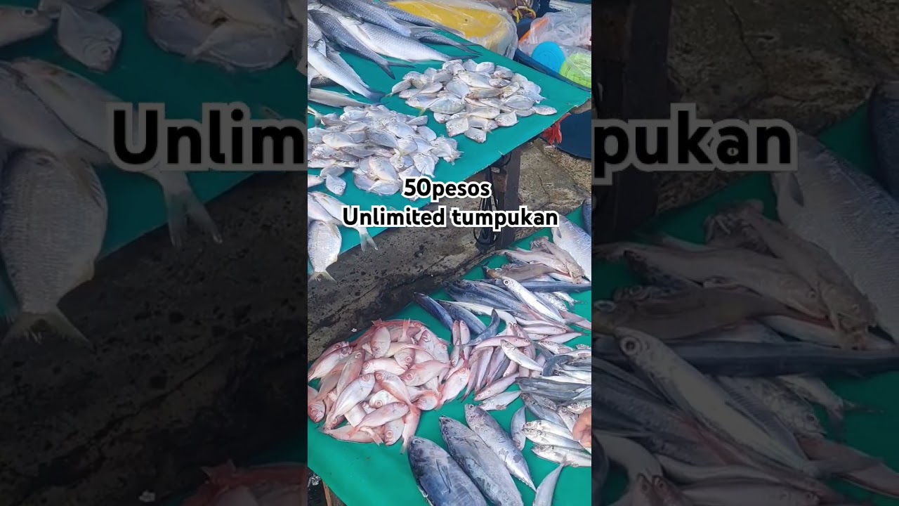 50pesos Unlimited Tumpukan #amazingsea #romzeltv #kuyaedph #bosslandoexplorer #tardunztv