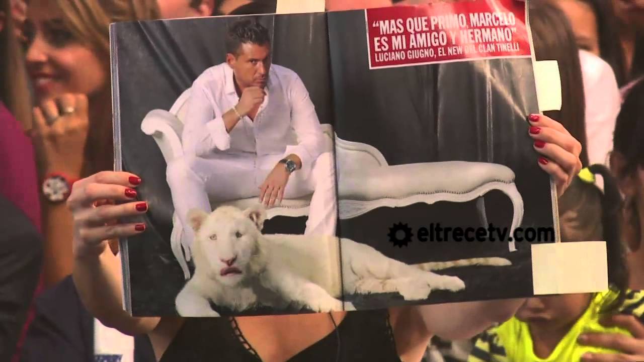 Showmatch 2012 - 18 de diciembre