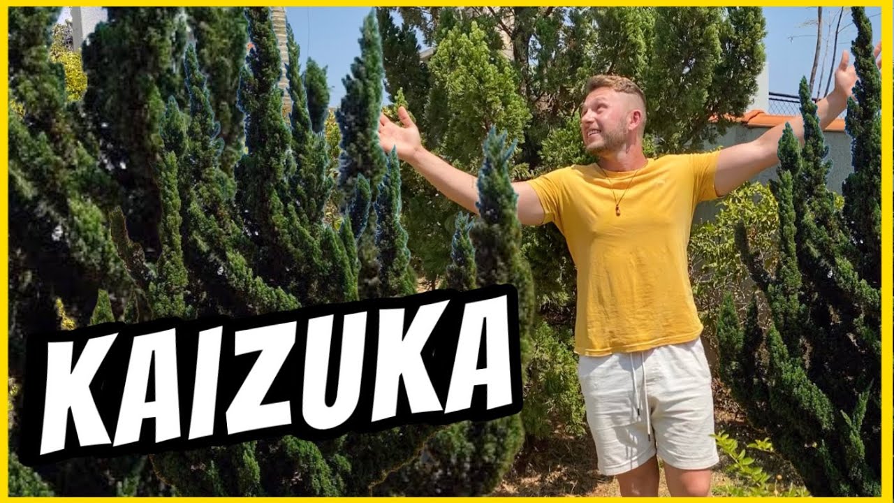 A ÁRVORE que vai TRANSFORMAR sua CASA em um PARAÍSO - KAIZUKA | Henrique Buttler