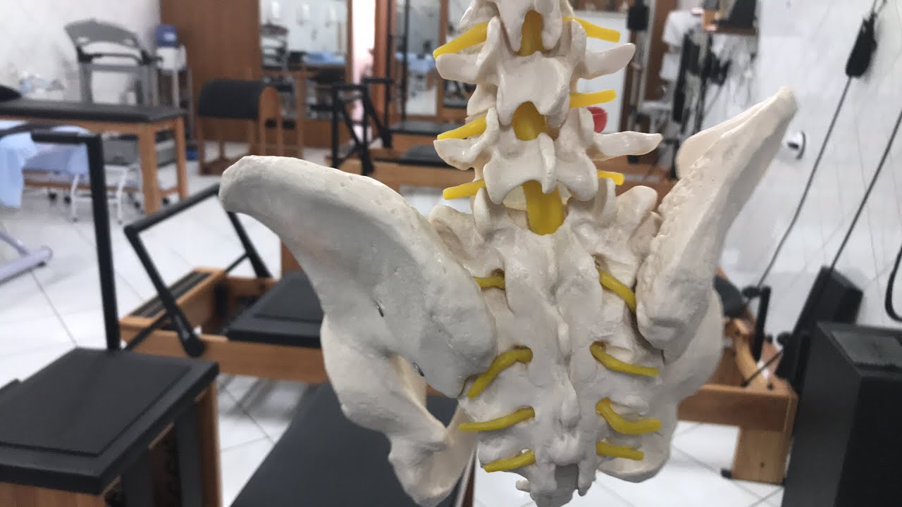 EXAME SACROILEÍTE DOR SACROILÍACA AVALIAÇÃO DIAGNÓSTICO DIFERENCIAL Fisioterapia Dr. Robson Sitta