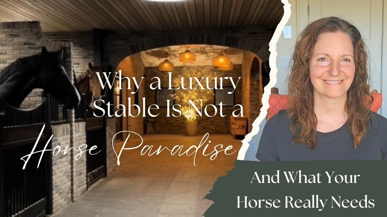 Why a Luxury Stable Is Not a Horse Paradise – and What Your Horse Really Needs...