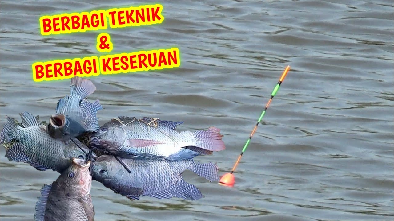 GILAAA !!! TEKNIK MANCING LOBANG HASILNYA JOSS | #mancingnilababon |