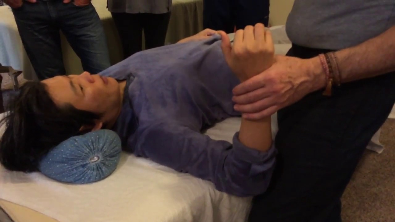 Table Shoshin Shiatsu/Zen Shiatsu Chicago Nov.4th 2017 #3