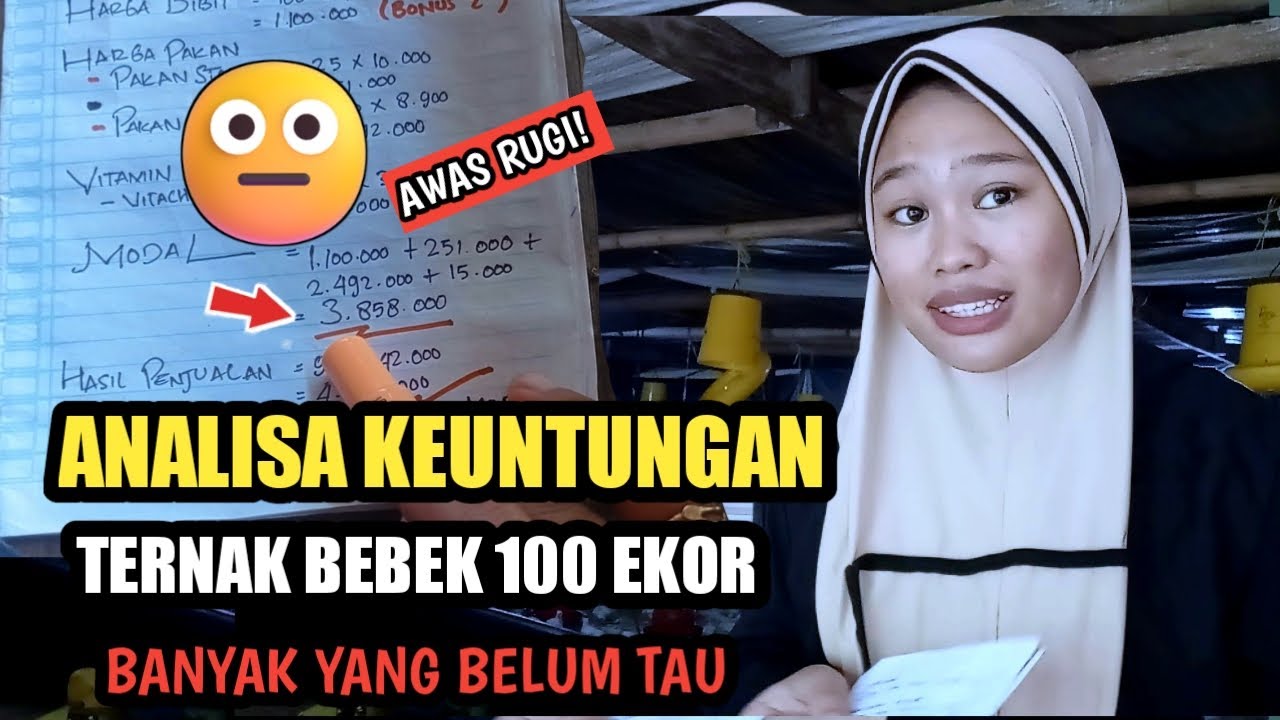 ANALISA KEUNTUNGAN TERNAK BEBEK PEDAGING 100 EKOR