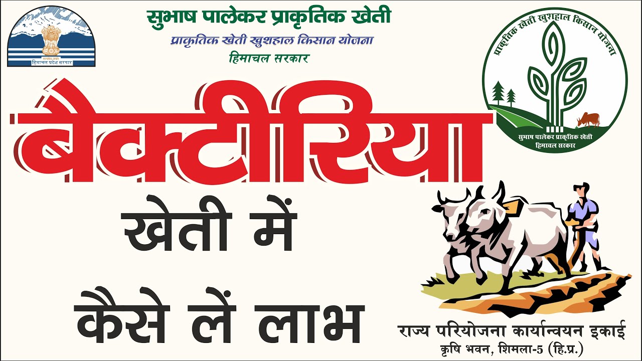 खेती में  जीवाणुओं से लाभ,कैसे ले? Growing Profits With Microbes in Agriculture #Natural Farming