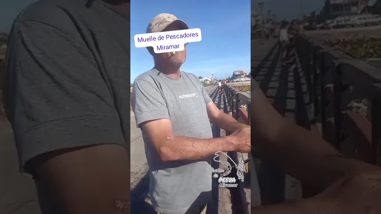 Muelle de Pescadores Miramar 