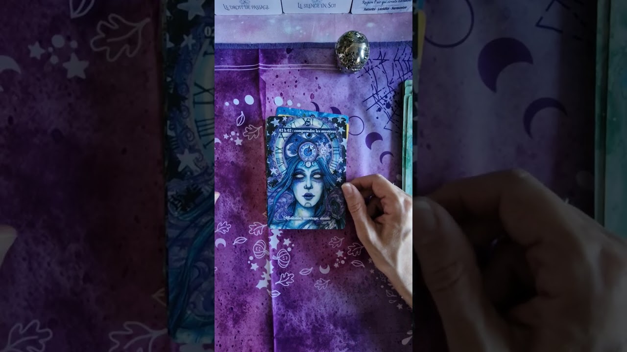 LES NOUVEAUX VENUS DANS MA CARTOTHÈQUE EN FÉVRIER 2026