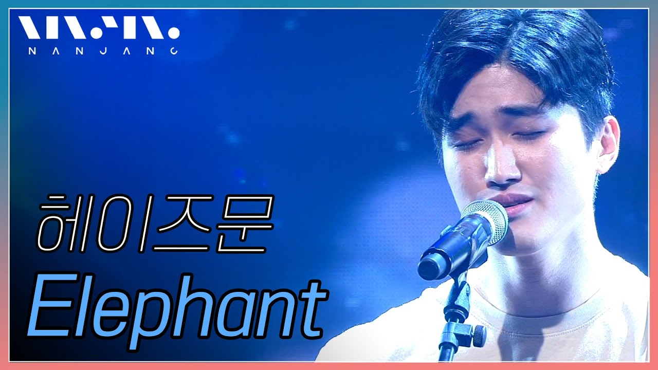 헤이즈문 hazemoon ; elephant [리얼뮤직 난장]