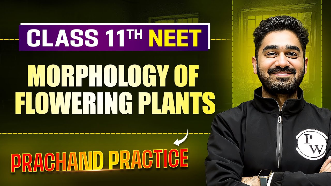 Morphology Of Flowering Plants PYQ's Video Solution | PRACHAND Practice Series | NEET 2025