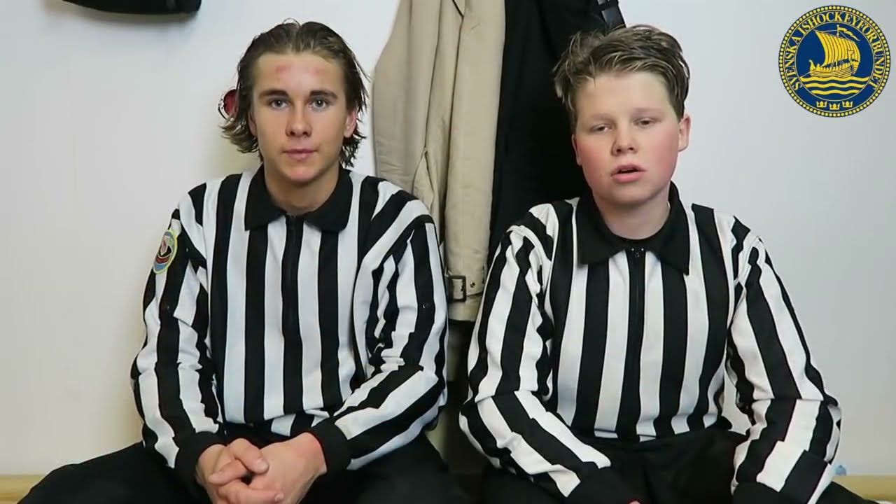 Att vara ishockeydomare