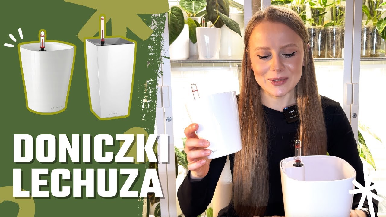 DONICZKI LECHUZA 🌱 / Czy warto kupić? / Moja opinia / Zalety i wady / Ciekawa alternatywa
