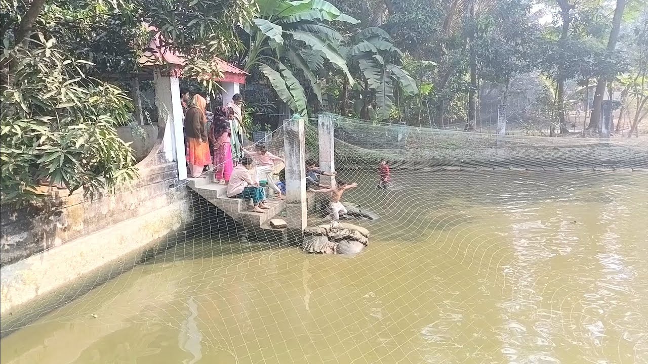 আমার ছোট মেয়ে মাছ ধরার আনন্দে আত্মহারা। কখন পানি কমবে সে মাছ ধরবে। 