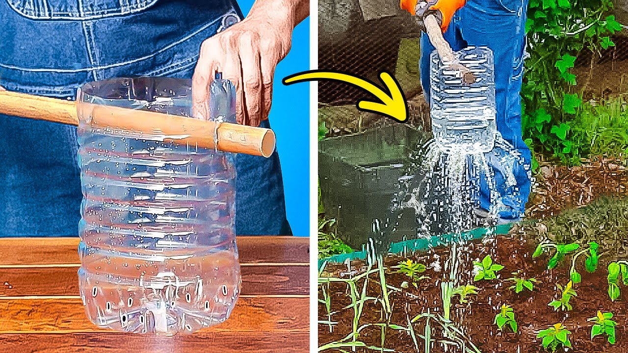 IDÉES DE CULTURE DE PLANTES DIY 🪴 MEILLEURS CONSEILS DE JARDINAGE