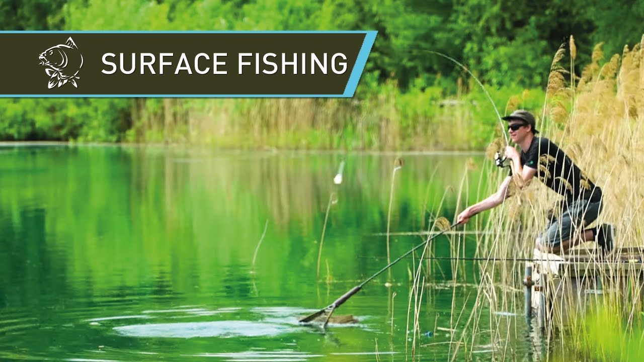 How to catch carp off the surface - Floater Fishing