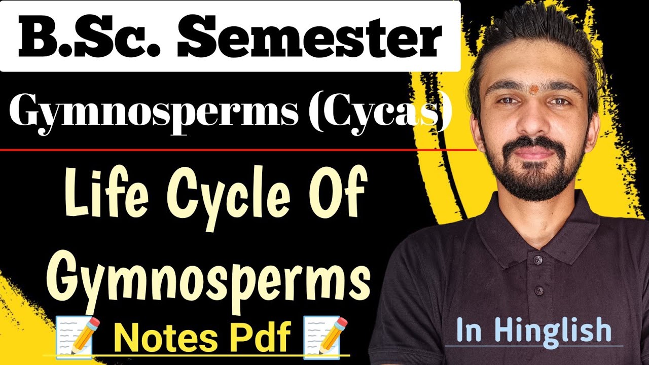 Life Cycle Of Gymnosperms || Cycas Life Cycle || Bsc Semester || By Dadhich Sir