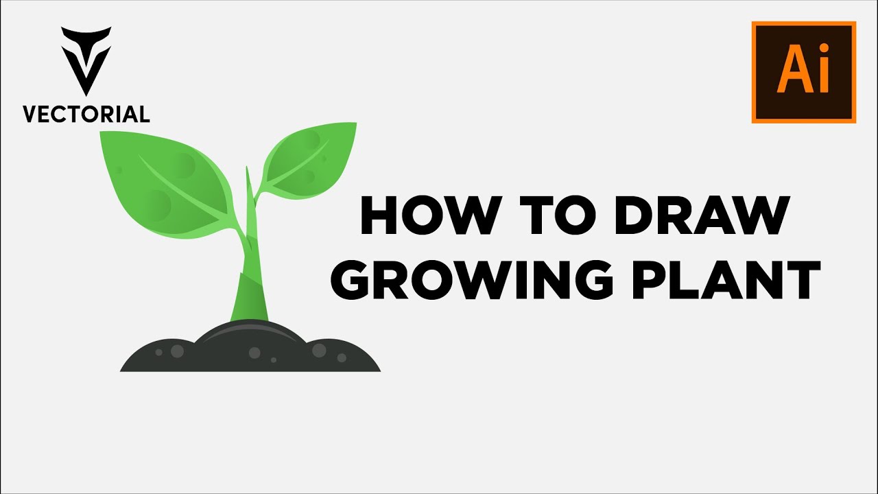 How to Draw Growing plant in adobe illustrator