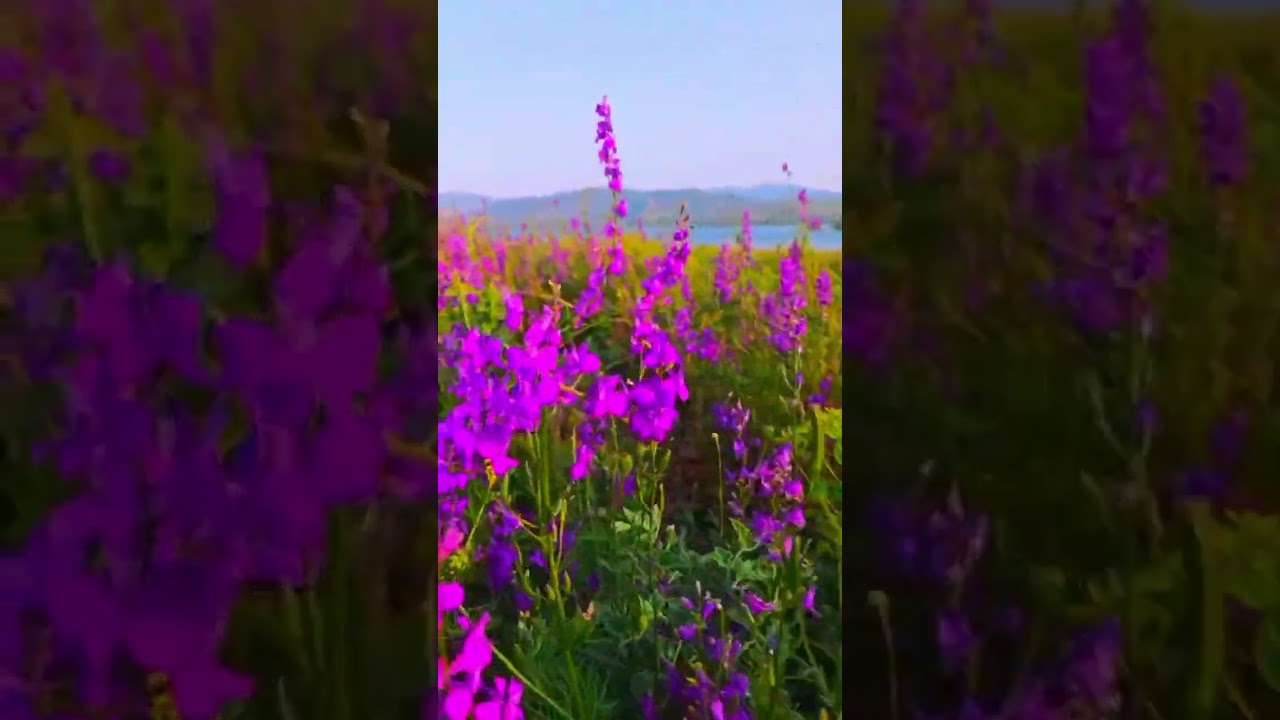 Tokat yöre gezintisi