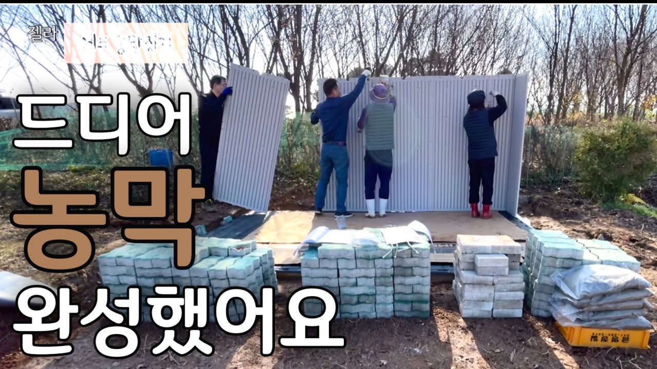 셀프 농막짓기/ 라이프타임 조립식 창고/ 6402