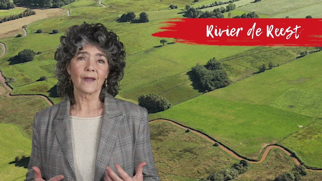 Havixhorst De Wijk | Landgoederen en havezaten