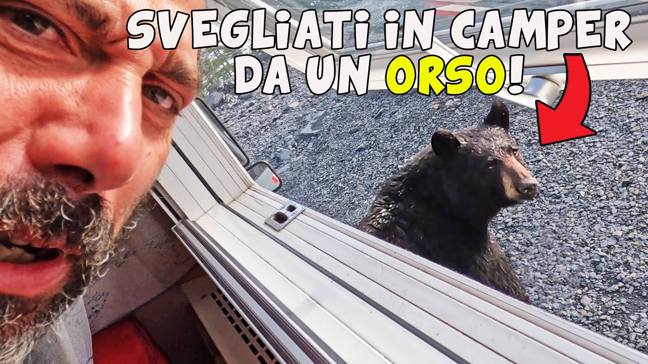 SVEGLIATI DA UN ORSO ALLA PORTA 😫 📣 UNBOXING PER MODIFICHE al CAMPER