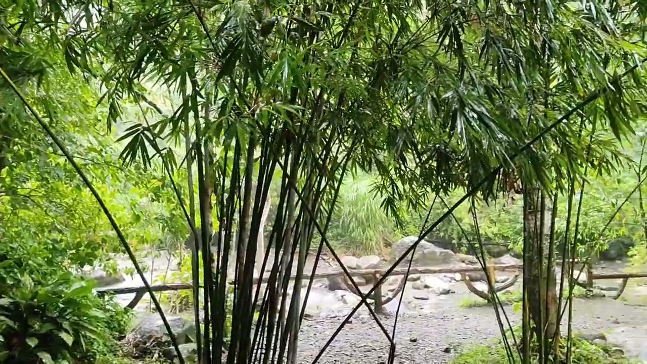 It's nice to sleep as long as it rains like this