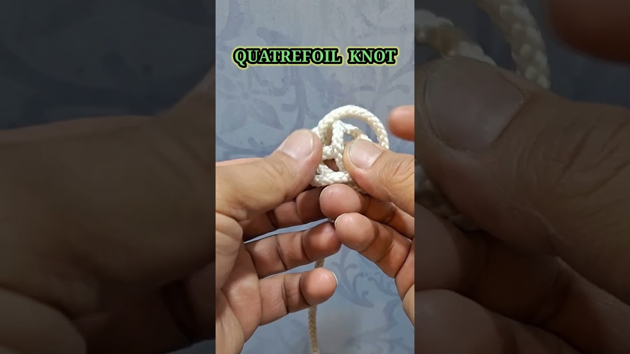 QUATREFOIL KNOT: a Stopper Knot | How to Tie #diy #youtubeshorts #tutorial #shorts