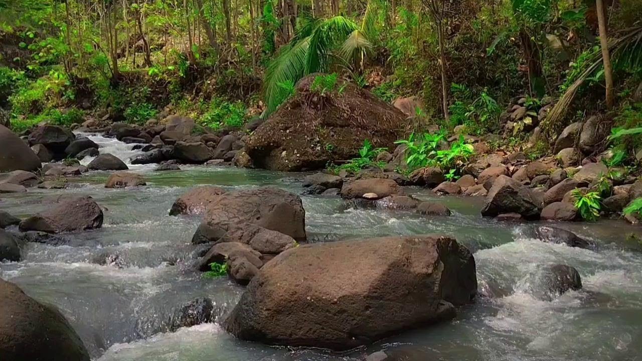 River Dreamscape | Hypnotic Flowing Water Sounds & ASMR White Noise for Sleep