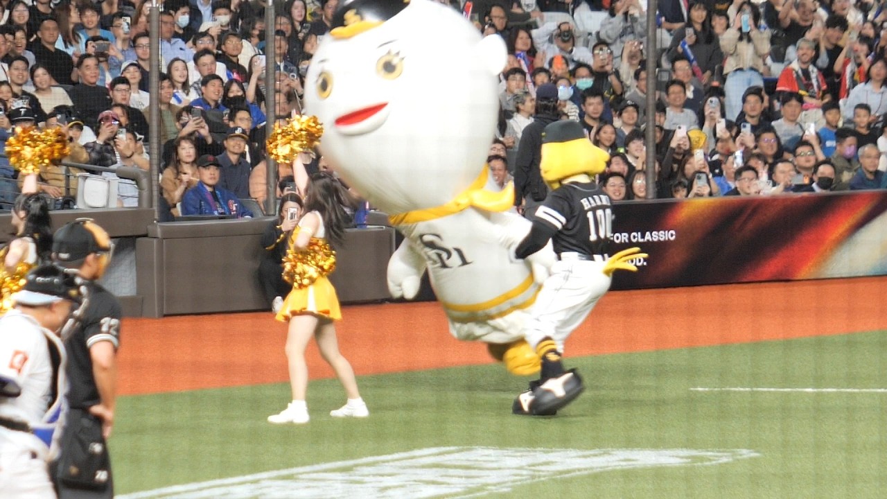 福岡軟銀鷹啦啦隊Honeys局間跳隊歌いざゆけ若鷹軍団-氣球先生最後想撞HARRY HAWK閃開撞到Honeys啦啦隊(2026台日棒球國際交流賽-軟銀鷹隊 vs 中華隊)