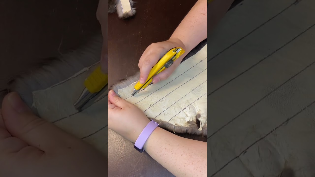 How to Attach Fur to Moccasins: A Step-by-step Guide