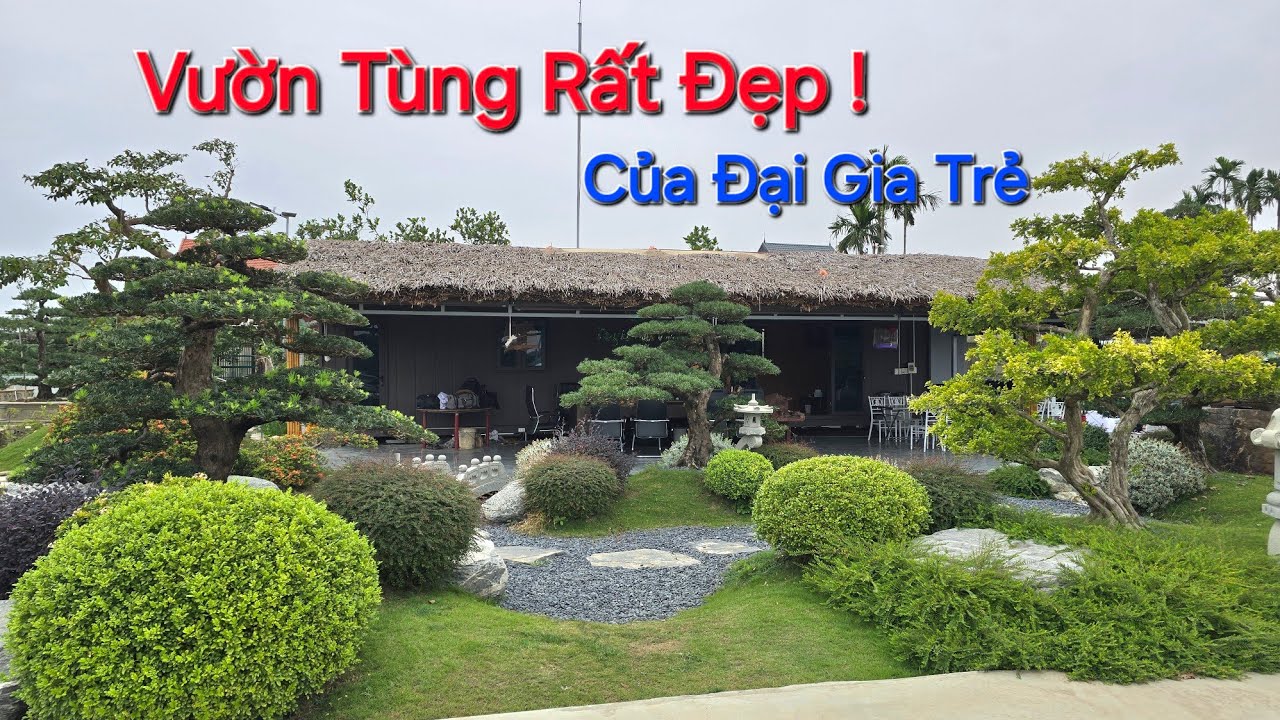 LẦN ĐẦU thăm không gian VƯỜN TÙNG RẤT ĐẸP của em TRƯỜNG - Kiến Thụy - HP .