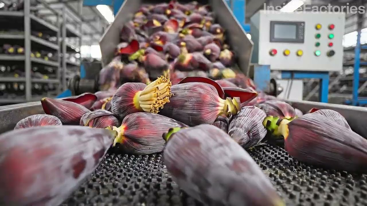 How Banana Blossoms Are Processed Inside Traditional Factories