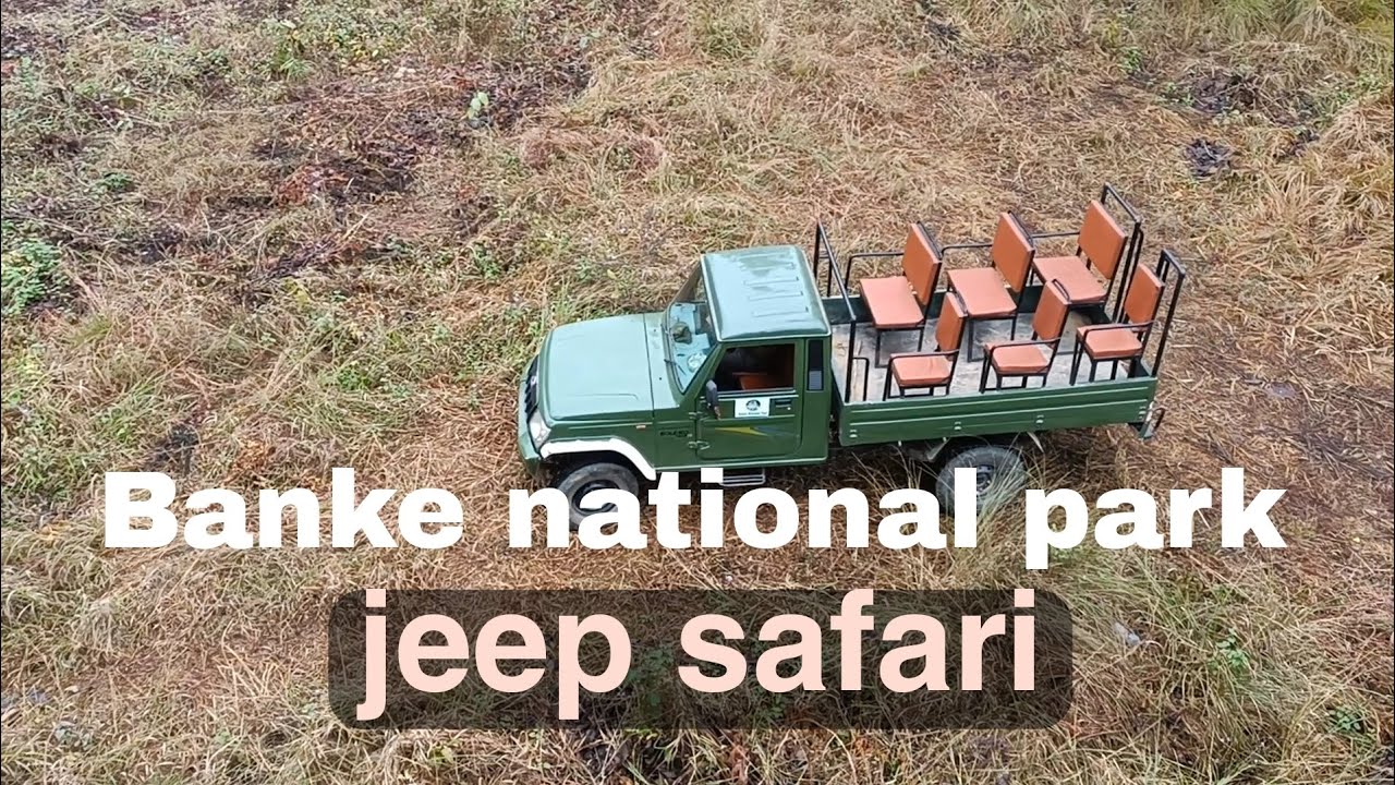 jeep safari in Banke national park । Gavar valley homestay । Krishna chaudhary ।