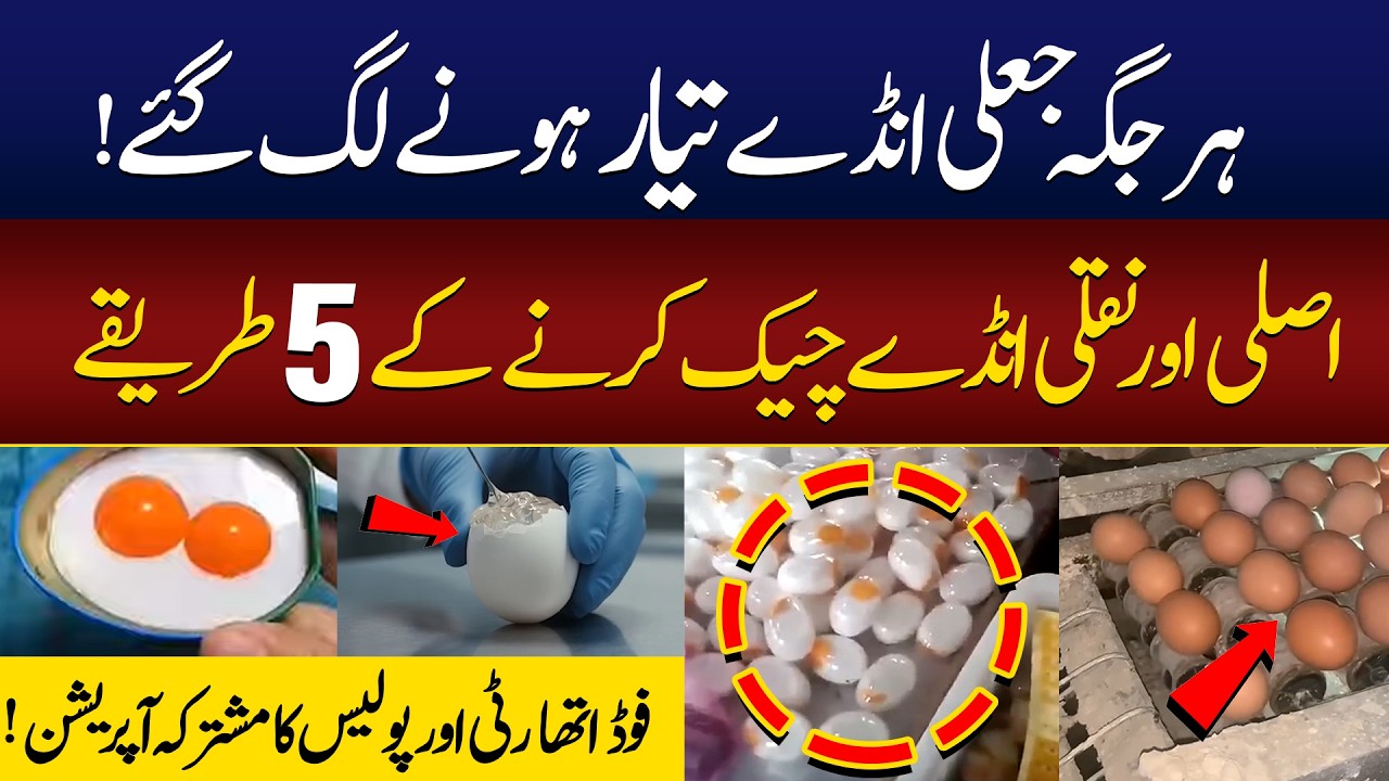 Fake Eggs Factory Exposed Part-2: Jaali Anday Banane Wali Factory Pakri Gayi