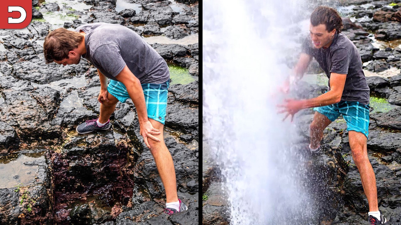 The Dumbest Human Moments On The Internet