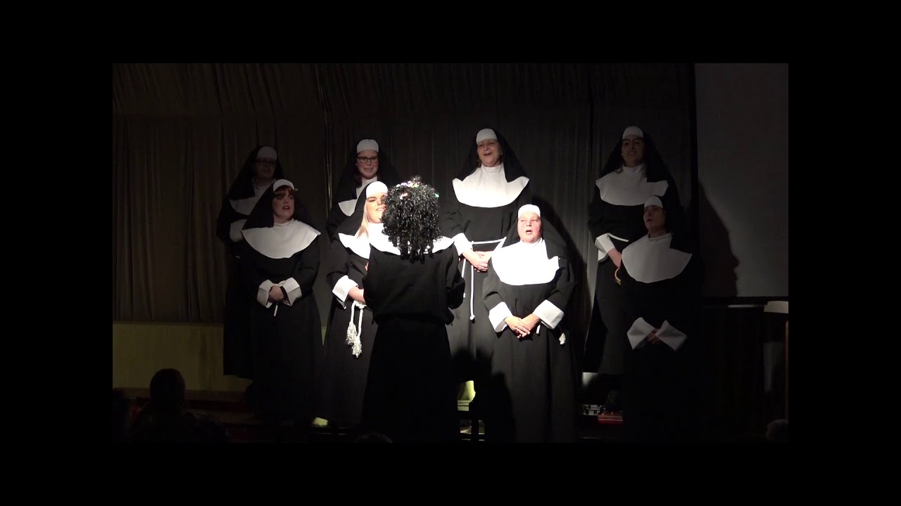 Pronkzitting 2019 - Dames van de Raad