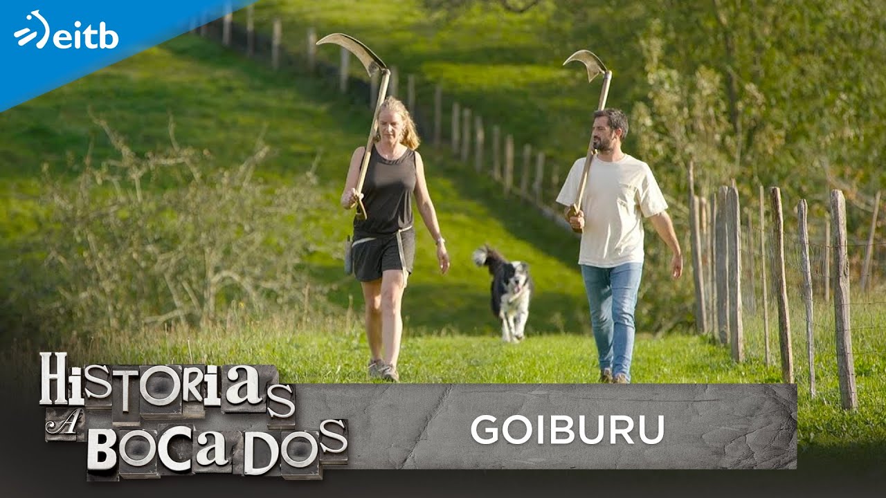HISTORIAS A BOCADOS: Goiburu