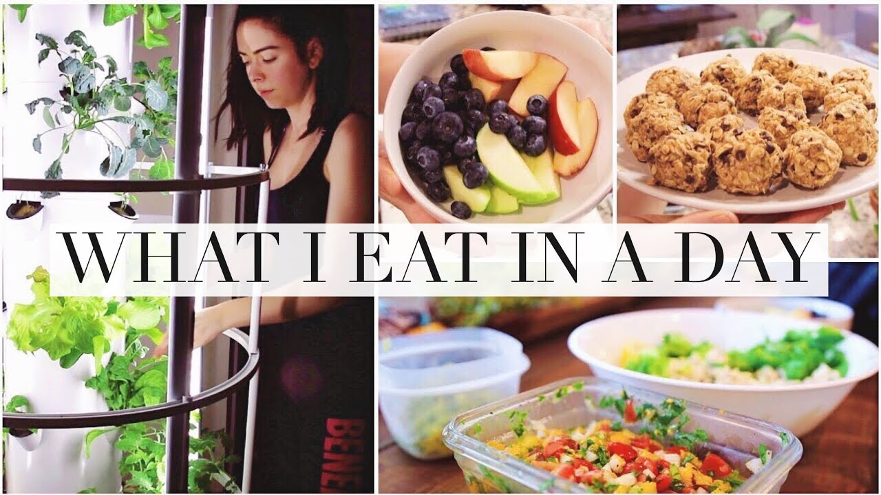 What I Eat In A Day! Easy and Healthy Garden Harvest Meal ideas!