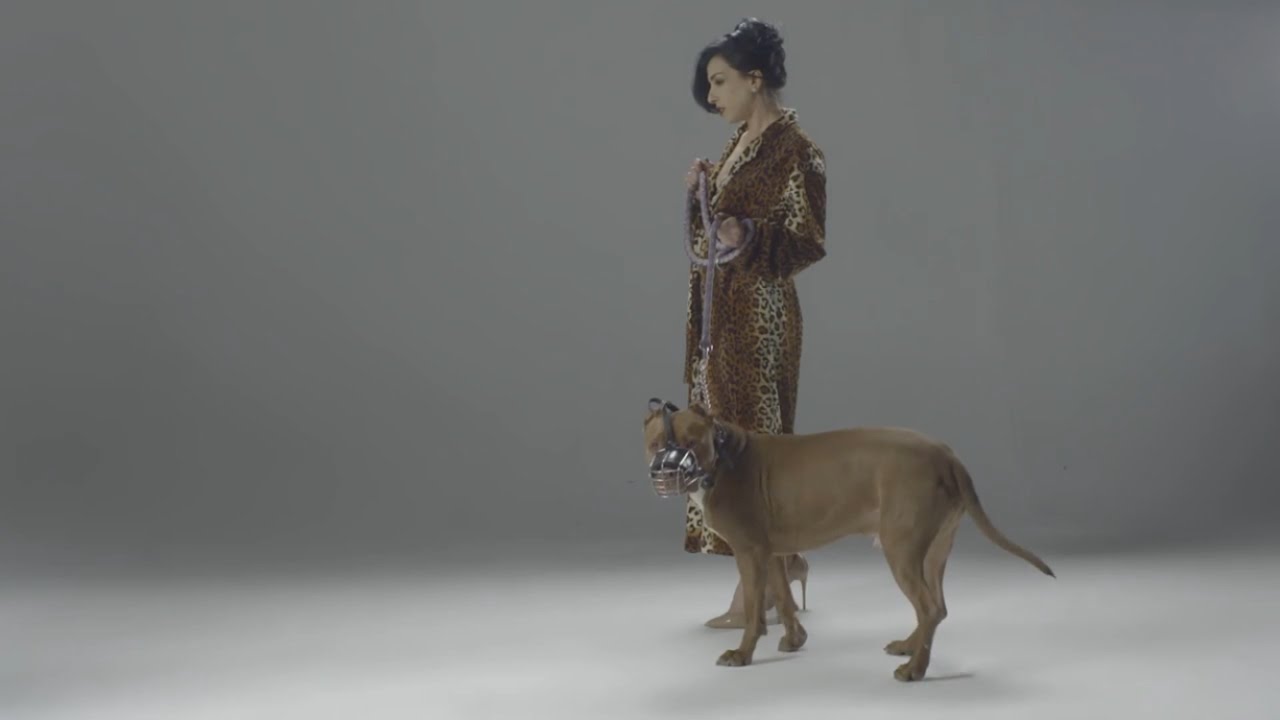 דיקלה - מסקרה שחורה - קליפ